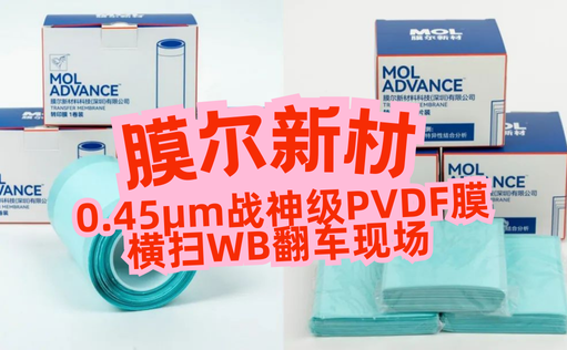 “膜”力加倍！膜尔新材战神级PVDF膜横扫WB翻车现场—0.45μm精准孔径狙杀各类蛋白，背景纯净如冰川